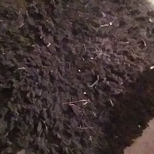 Meet your Posher, Brandylynn